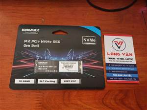 SSD 256GB NVME Kingmax